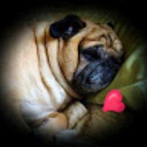 Meet your Posher, Cynthia